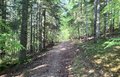20260507_093737.jpg