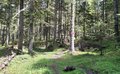 20260507_124704.jpg