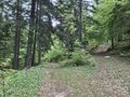 20260507_143853.jpg