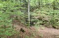 20260507_144506.jpg