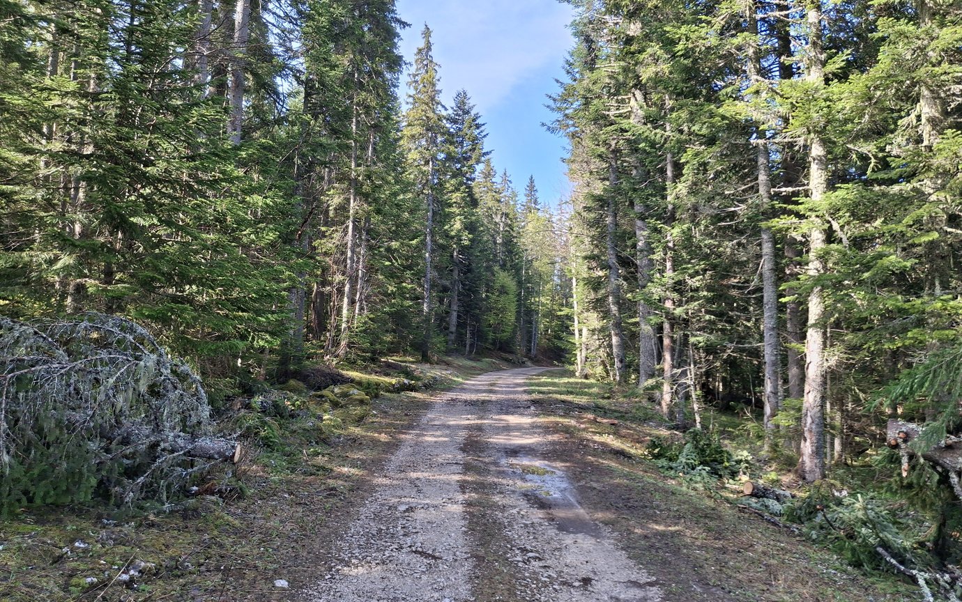 20260508_095513.jpg