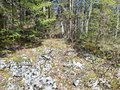 20260508_101910.jpg
