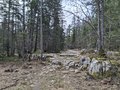 20260508_102918.jpg