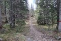 20260508_103627.jpg