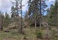 20260508_103818.jpg