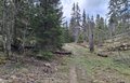 20260508_103820.jpg
