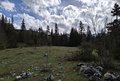 20260508_104149.jpg