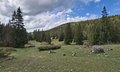 20260508_104151.jpg