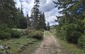 20260508_104502.jpg