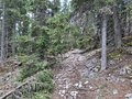 20260508_113649.jpg
