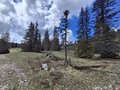 20260508_115315.jpg