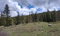 20260508_115322.jpg