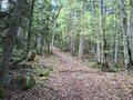 20260508_121237.jpg