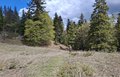 20260508_122238.jpg