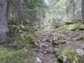 20260508_123208.jpg