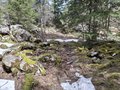 20260508_123214.jpg