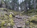 20260508_123914.jpg