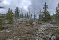 20260508_124108.jpg