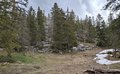 20260508_124241.jpg