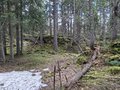 20260508_125624.jpg