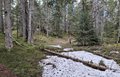20260508_125632.jpg