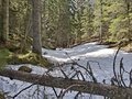 20260508_141053.jpg