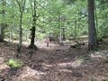 20260508_143334.jpg