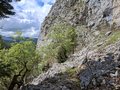 20260508_153453.jpg