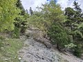 20260508_153802.jpg