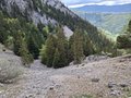 20260508_153813.jpg