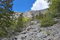 20260508_154624.jpg