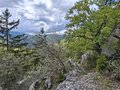 20260508_154636.jpg