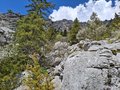 20260508_154726.jpg