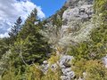 20260508_154729.jpg