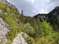 20260508_154915.jpg