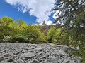 20260508_154941.jpg