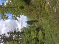 20260508_155848.jpg