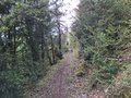 20260508_160540.jpg