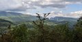 20260508_160648.jpg