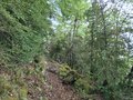 20260508_161108.jpg
