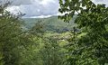 20260508_161222.jpg