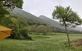 20260508_165047.jpg