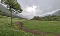 20260508_165049.jpg