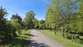 20260509_094307.jpg