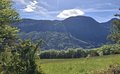 20260509_094313.jpg