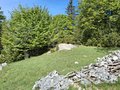 20260509_103601.jpg