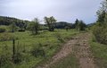 20260509_104158.jpg