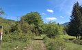 20260509_104201.jpg