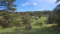 20260509_105644.jpg
