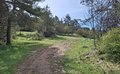 20260509_105653.jpg